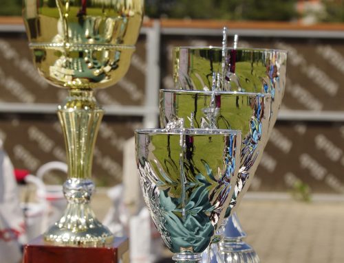 Att välja rätt hjälp – vad säger de som vet?